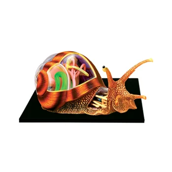 Играчка за сглобяване на пъзела, имитирующая животно, биологичен орган Охлюви, модел за обучение по анатомия