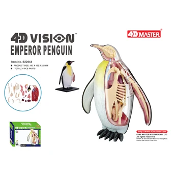 4D Master 4D Vision Императорският пингвин анатомическая модел орган на животното Лабораторно образователно обзавеждане Играчка-пъзел за сглобяване със собствените си ръце
